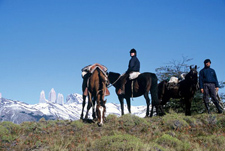 Chile-Patagonia / Torres del Paine-Torres del Paine - Glacier Ride
